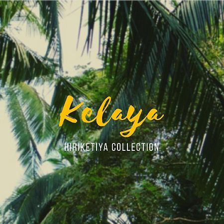 Kelaya At Hiriketiya Collection Hotel Dikwella Exterior foto
