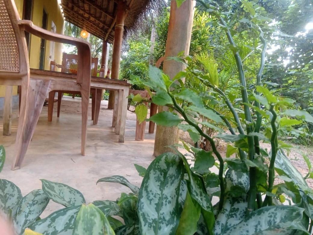 Kelaya At Hiriketiya Collection Hotel Dikwella Exterior foto