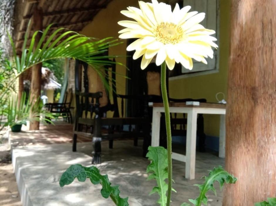 Kelaya At Hiriketiya Collection Hotel Dikwella Exterior foto